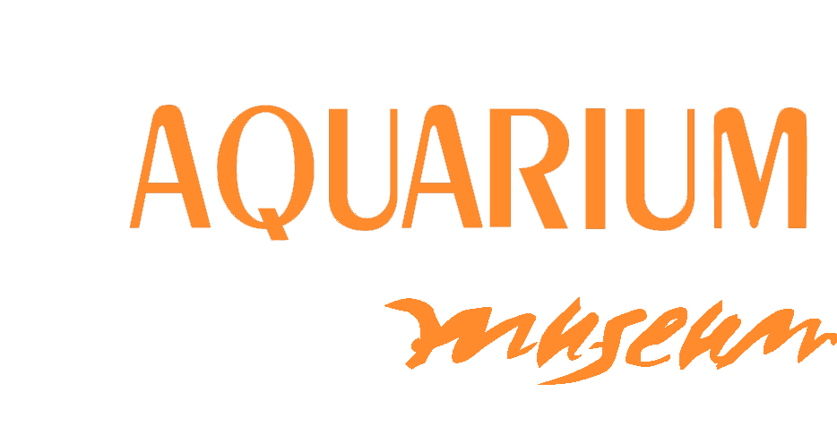 rhodes-aquarium