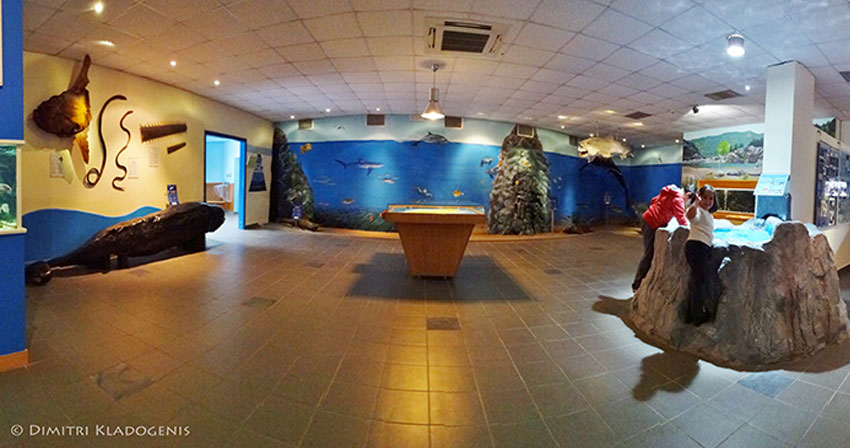 rhodes-aquarium (1) rhodes-aquarium (1)