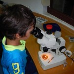 rechearcher-night-aquarium-rhodes